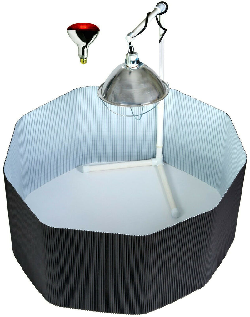 Load image into Gallery viewer, Deluxe Chick Brooder Kit With Corral, Lamp Stand, Lamp, &amp; Bulb
