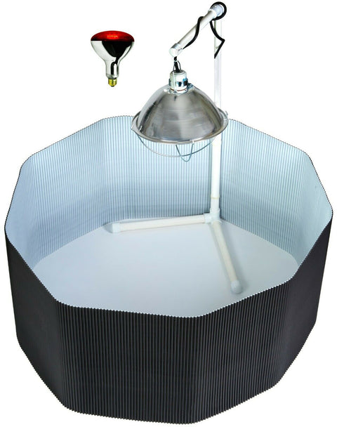 Deluxe chick brooder kit with corral, lamp stand, lamp, and bulb