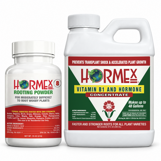 HORMEX