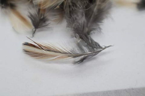Quail rooster feathers for fly-fishing and crafts, packaging