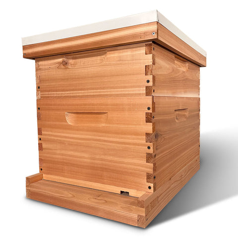 Cedar 10-frame beehive, made in USA