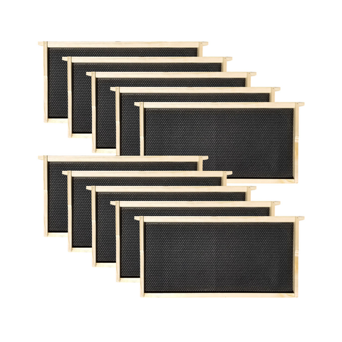 Langstroth deep brood frames and foundations kit, front