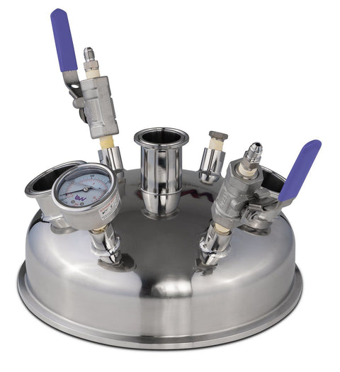 10 Inch Pre-Built Hemispherical Lid with BVV 316SS Full Bore Valves