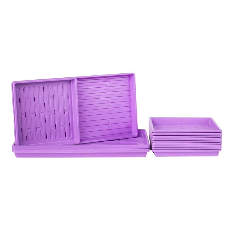Load image into Gallery viewer, 1010 Microgreens Kit
