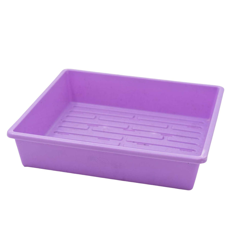 Load image into Gallery viewer, 1010 Trays 2.5" Deep - Extra Strength
