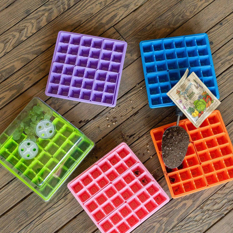 Seed Starting Workshop Bundle, additional product view 2