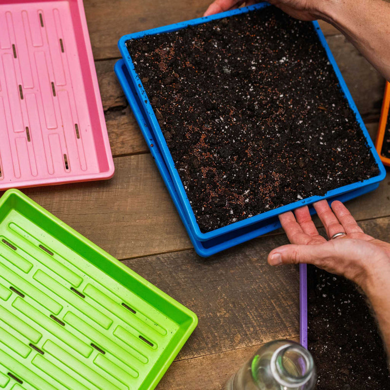 Load image into Gallery viewer, 1010 Extra Strength Shallow Seed Trays
