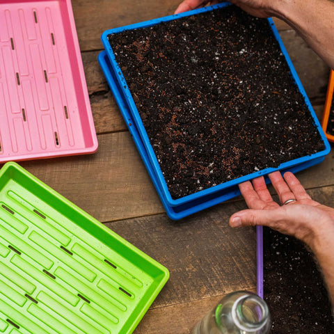 1010 Extra Strength Shallow Seed Trays, additional product view 2