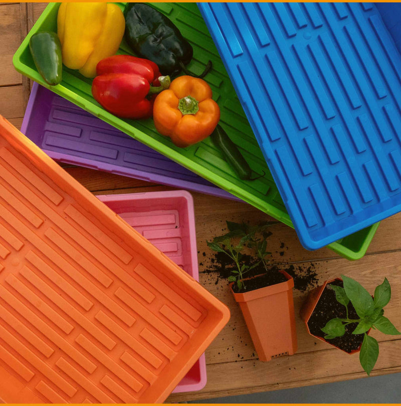 Load image into Gallery viewer, 1020 Extra Strength Trays - Colors
