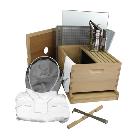 Busy Bees N More 10-frame nuc-ready starter kit, front