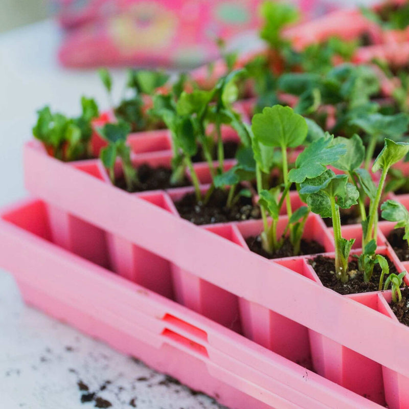 Load image into Gallery viewer, Air Prune Heavy Duty Propagation Tray - 72 Cell
