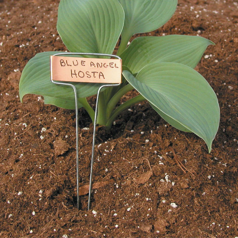 Load image into Gallery viewer, Luster Leaf Classic Impressions Garden 10" Plant Labels | Copper or Zinc 10 Pk.
