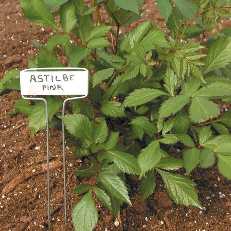Load image into Gallery viewer, Luster Leaf Classic Impressions Garden 10" Plant Labels | Copper or Zinc 10 Pk.
