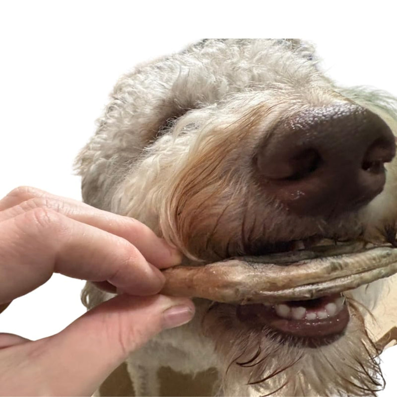 Load image into Gallery viewer, Freeze-Dried Duck Feet Dog Treats, 10 Count — Single Ingredient, Made in USA
