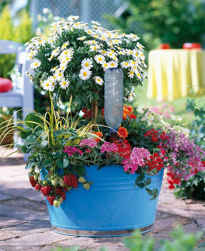 Load image into Gallery viewer, Blumat Easy + Bottle Adapter
