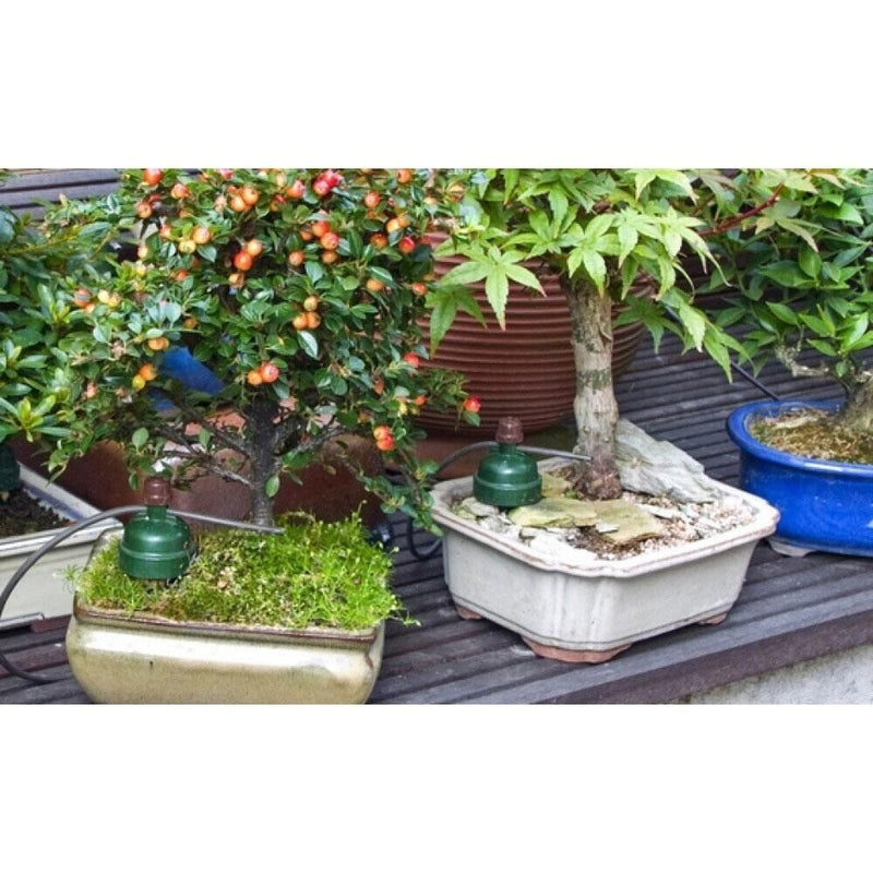 Load image into Gallery viewer, Blumat Bonsai Automatic Plant Watering Sensor
