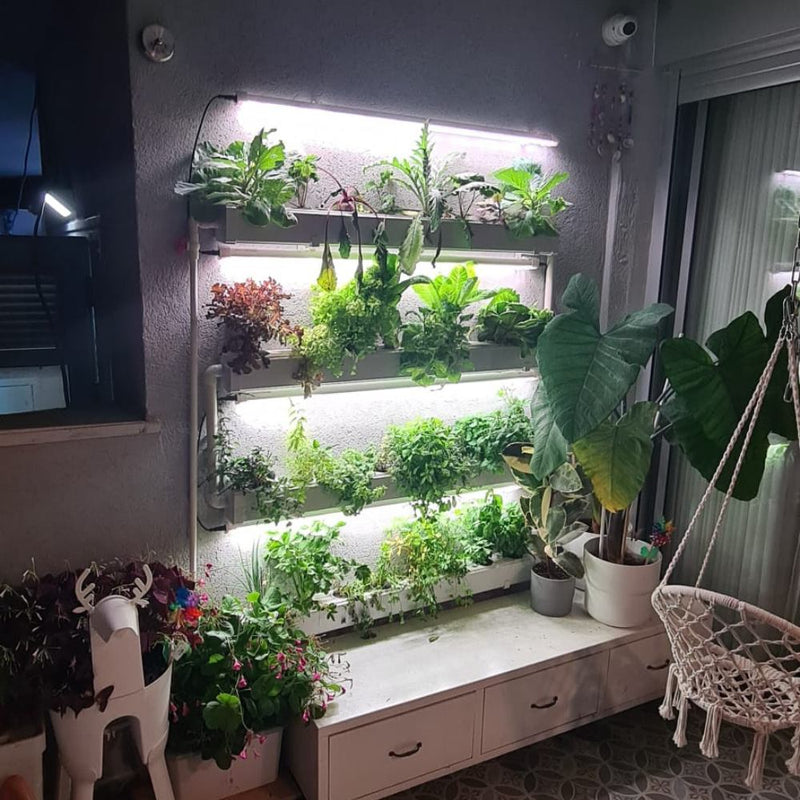 Load image into Gallery viewer, Wally 32 – Hydroponic Vertical System for Growing 32 Greens and Fruits
