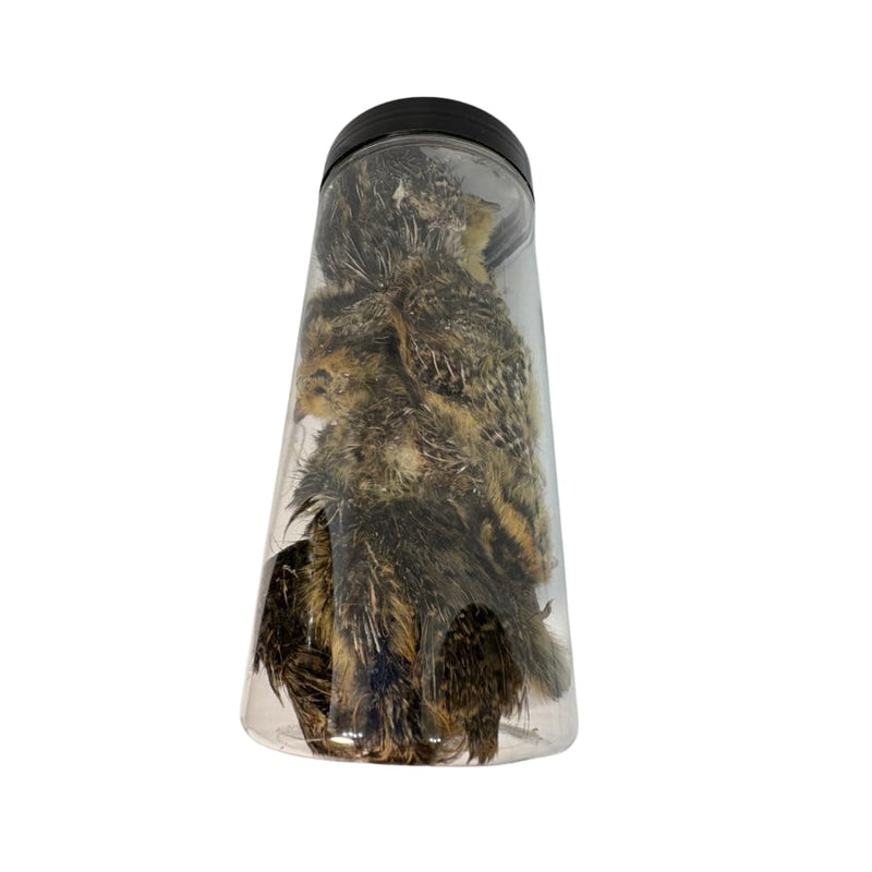 Load image into Gallery viewer, Bird Dog Training Quail - Premium Freeze-Dried Whole Quail for Dogs 5ct, Large (Chick) - Natural Prey Feeding Quality Protein Pet Treats
