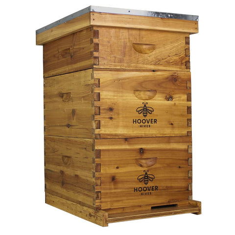 Hoover Hives 10-frame wax-coated beehive kit, 2 deep 1 medium, front