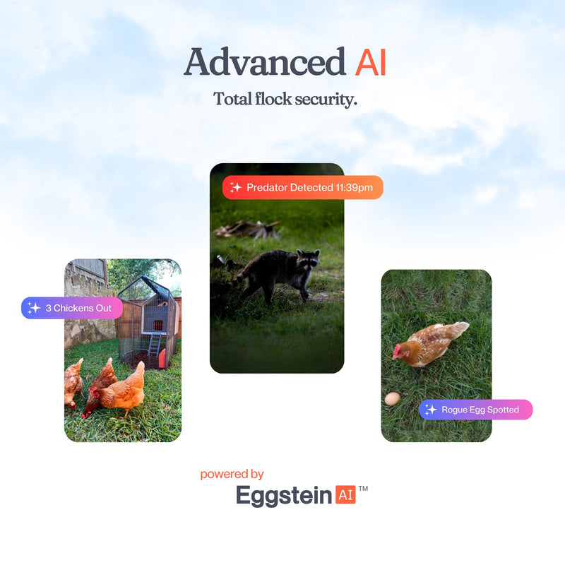 Load image into Gallery viewer, The Smart Coop AI Camera
