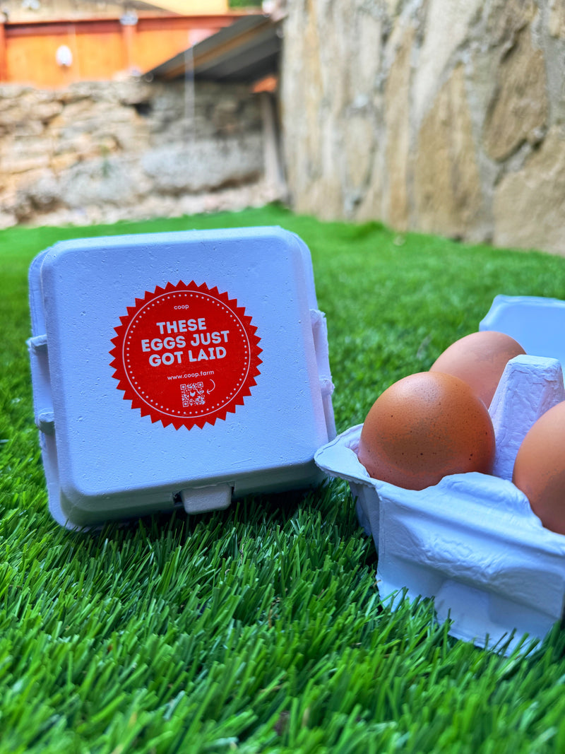 Load image into Gallery viewer, "Just Got Laid" 4-Egg Carton
