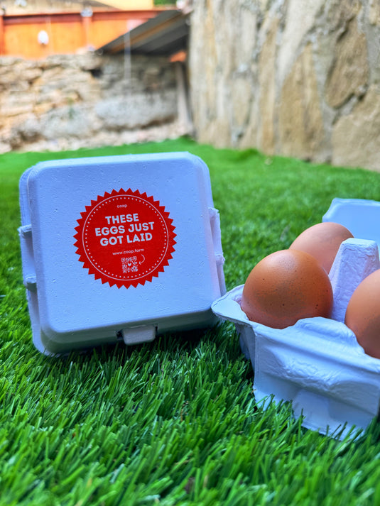 "Just Got Laid" 4-Egg Carton