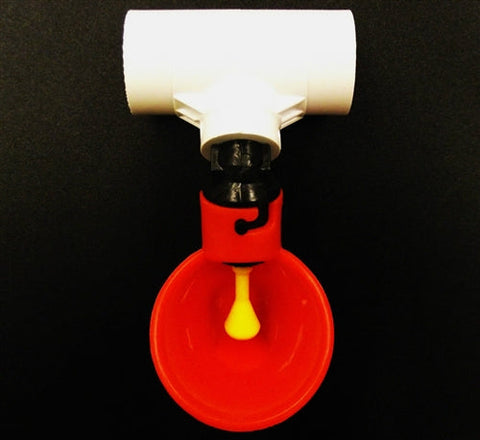 Automatic poultry chicken drinker cup & 1/2