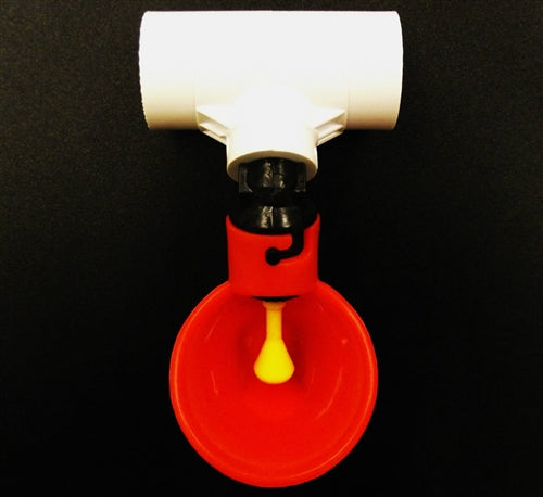 Automatic poultry chicken drinker cup & 1/2