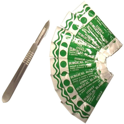 Stainless steel scalpel with carbon steel blades