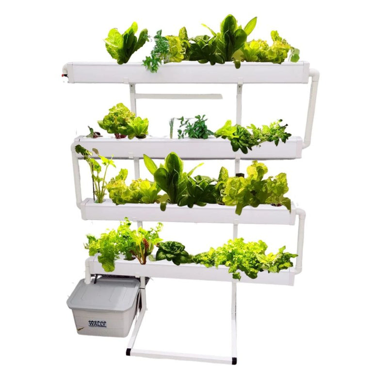 Load image into Gallery viewer, Wally 32 – Hydroponic Vertical System for Growing 32 Greens and Fruits
