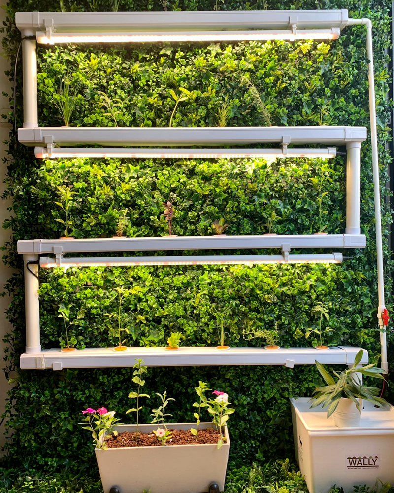Load image into Gallery viewer, Wally 32 – Hydroponic Vertical System for Growing 32 Greens and Fruits
