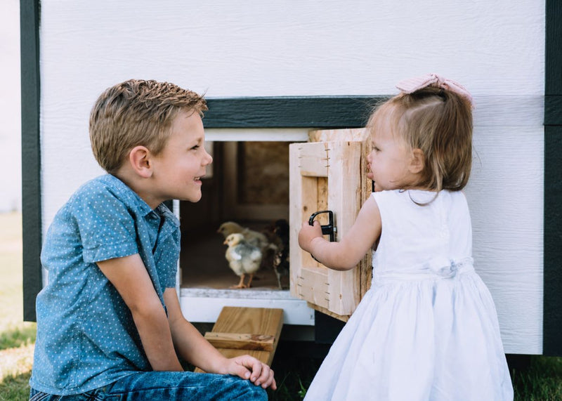 Load image into Gallery viewer, Large Chicken Coop - Up to 15 Chickens

