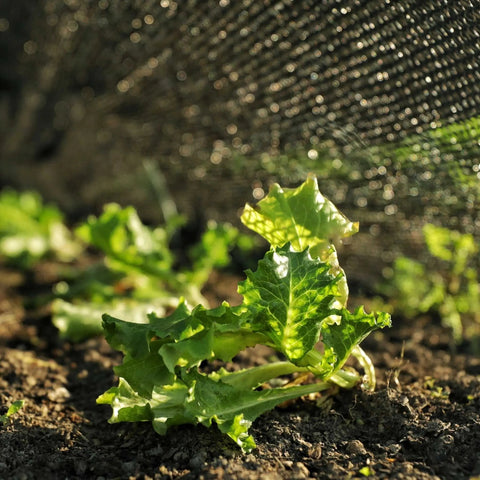 50% black shade cloth, material detail