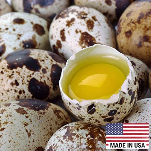 Load image into Gallery viewer, Fresh Quail Eggs Laid in the US
