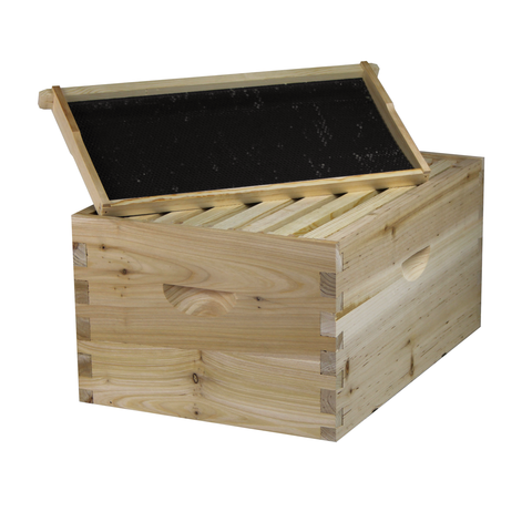 8-frame deep brood box, fully assembled, front