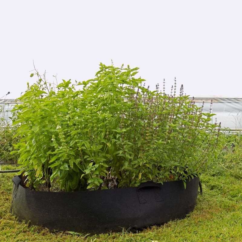 Load image into Gallery viewer, Grow Bags - 100 Gallon
