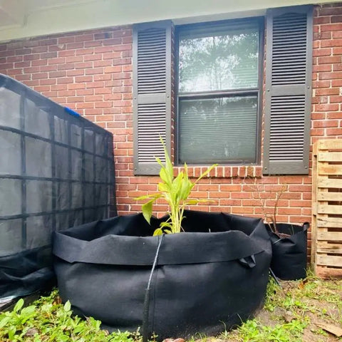 Grow Bags - 200 Gallon, retail packaging