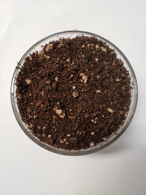 Elite Seed and Clone Soil — The Soil Makers living soil mix.