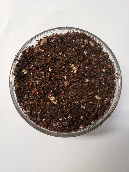 Elite Seed and Clone Soil — The Soil Makers living soil mix.