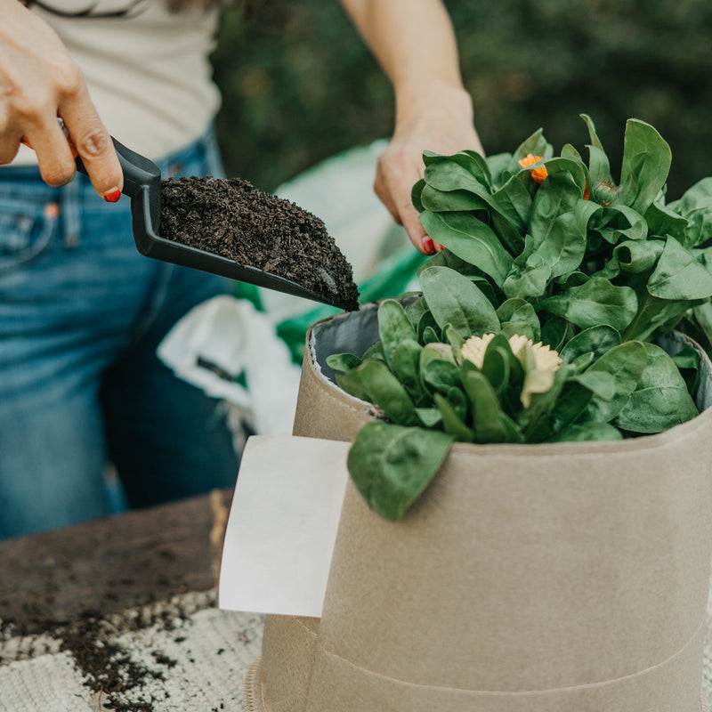 Load image into Gallery viewer, Living Soil Fabric Pot
