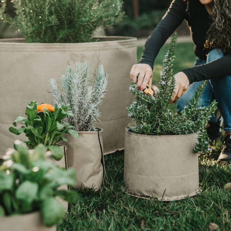 Load image into Gallery viewer, Living Soil Fabric Pot
