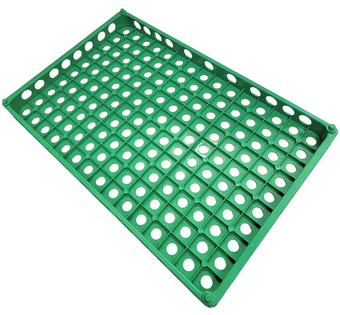 Stacking 150 quail egg capacity trays, 2-pack