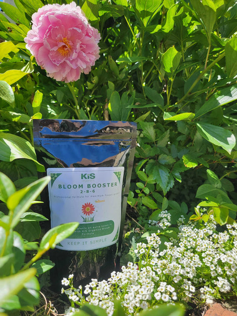 KiS Organics Bloom Booster 2-8-6 — KiS Organics organic soil amendment.