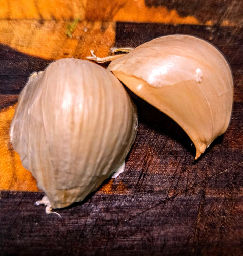 Organic Softneck Garlic package, GrowTime Garden Supply