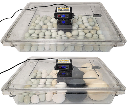 Rite Farm PRO hatcher incubator