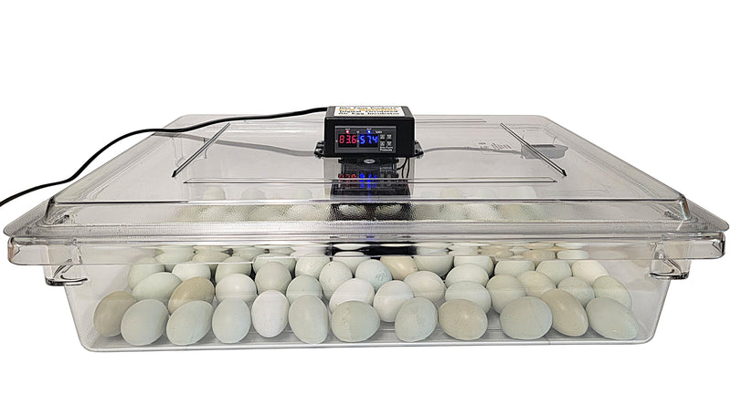 Load image into Gallery viewer, Rite Farm Products PRO Hatcher Incubator for Egg Tray Transfer from Cabinet Incubators

