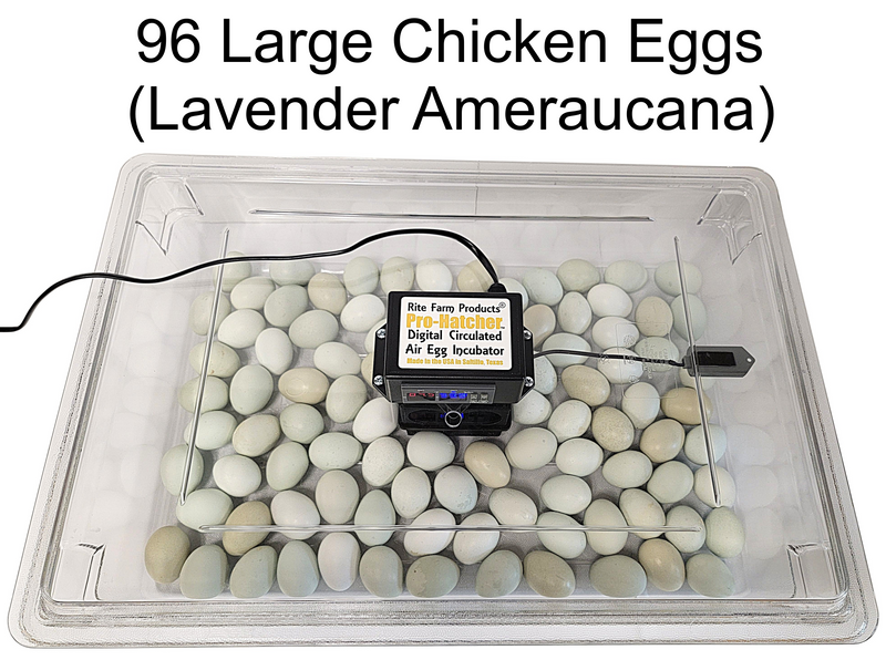 Load image into Gallery viewer, Rite Farm Products PRO Hatcher Incubator for Egg Tray Transfer from Cabinet Incubators
