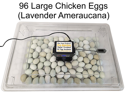 Rite Farm Products PRO Hatcher Incubator for Egg Tray Transfer from Cabinet Incubators, additional product view 2