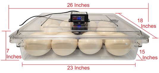 Rite Farm Products PRO Hatcher Incubator for Egg Tray Transfer from Cabinet Incubators