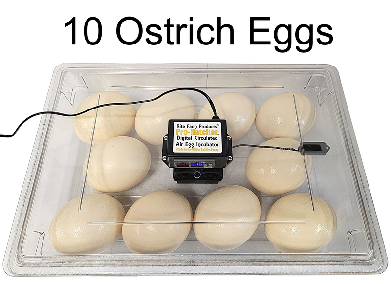 Load image into Gallery viewer, Rite Farm Products PRO Hatcher Incubator for Egg Tray Transfer from Cabinet Incubators
